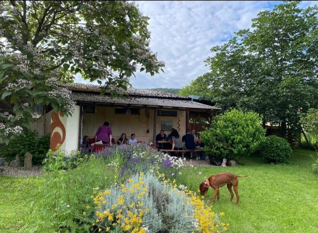 Orangerie Zimmer Gehaichnishof 7Born Maring-Noviand Exterior foto